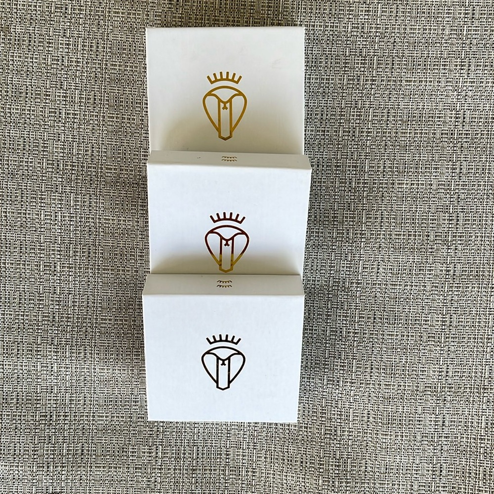 (3) Eyelashes with glue included